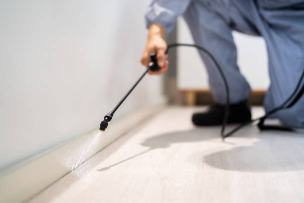 Licensed Termite Control service in Naugatuck, CT - Nex Pest Control