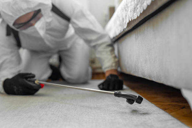 Professional Termite Control technician working in Naugatuck, CT