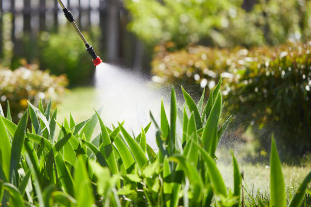 24/7 Emergency Termite Control experts in Naugatuck, CT