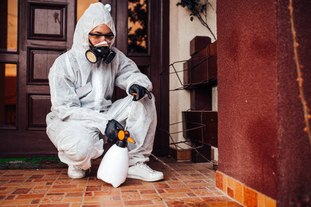 Reliable Termite Control contractor in Naugatuck, CT by Nex Pest Control